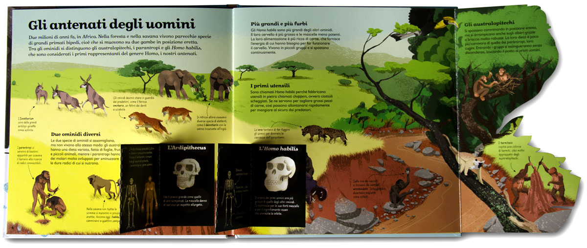 camminando con gli uomini delle caverne australopitechi